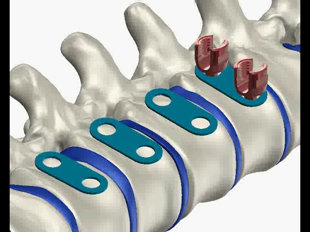 Ознакомительное видео