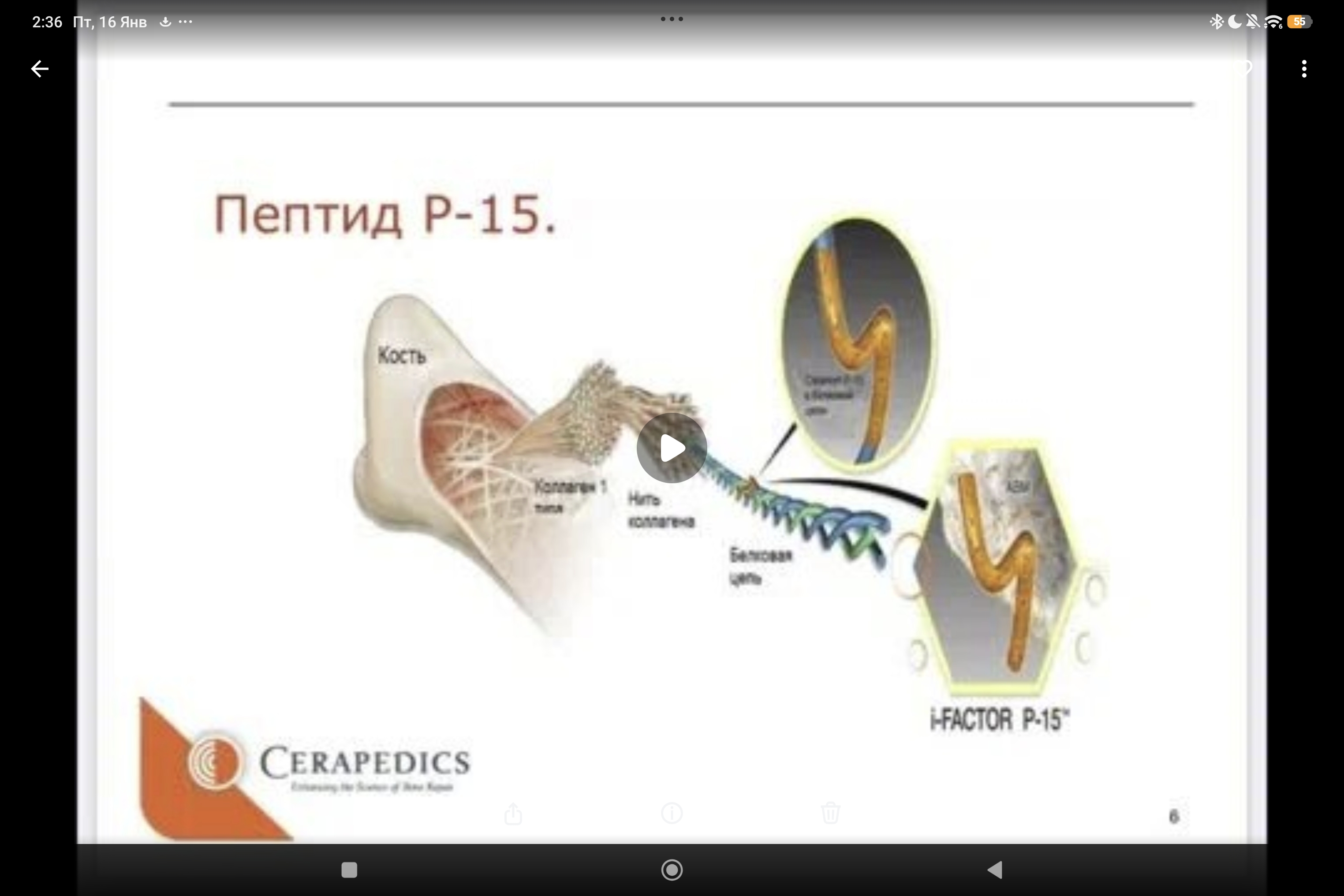 оригинальная технология, ускоряющая естественную регенерацию костной ткани: i-FACTOR